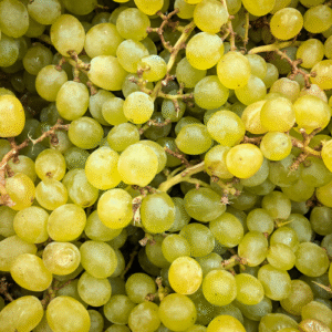 Raisin blanc sans pépins Kg