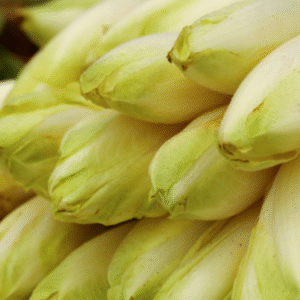 Endive