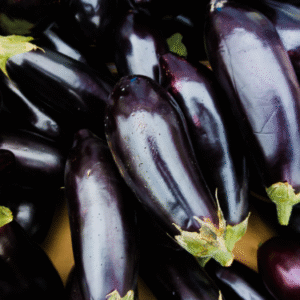 Aubergine Kg