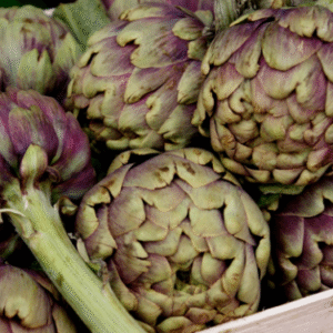 Artichaut