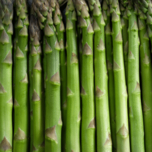 Asperge Verte