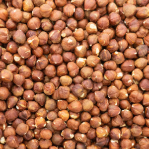 Noisettes décortiquées