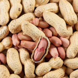 Cacahuètes en coque