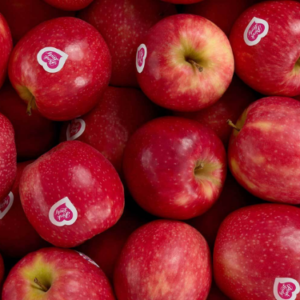 Pomme Pink Lady Kg