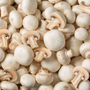 Champignon de Paris Blanc